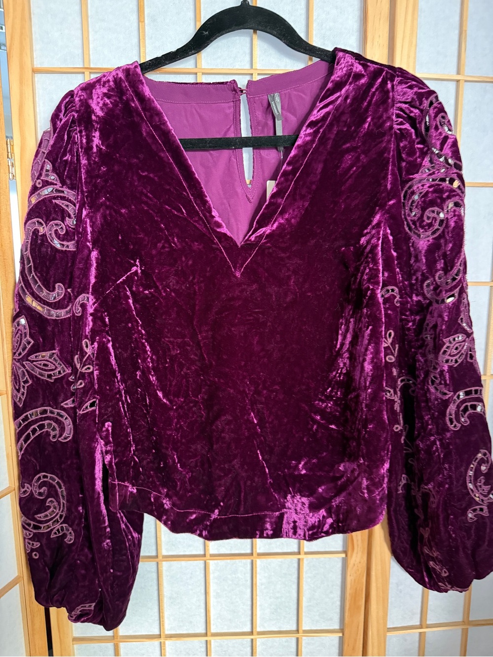 Anthropologie Velvet V-Neck Blouse with Embroidered Balloon Sleeves NWT